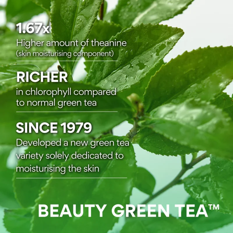 INNISFREE Green Tea Amino Cleansing Water – 320ml